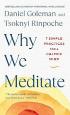 Why we meditate