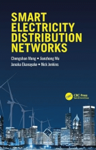 Smart electricity distribution networks